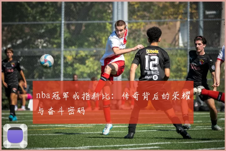 nba冠军戒指科比：传奇背后的荣耀与奋斗密码