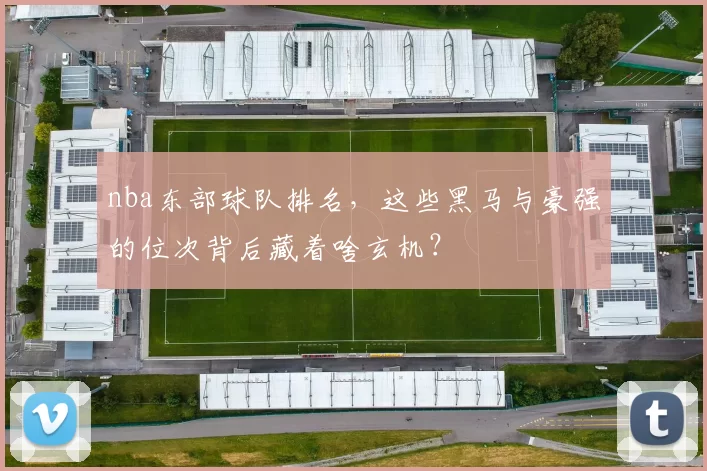 nba东部球队排名，这些黑马与豪强的位次背后藏着啥玄机？