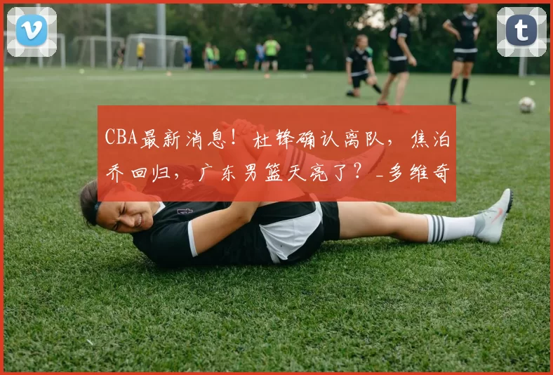 CBA最新消息！杜锋确认离队，焦泊乔回归，广东男篮天亮了？_多维奇_徐昕_北京