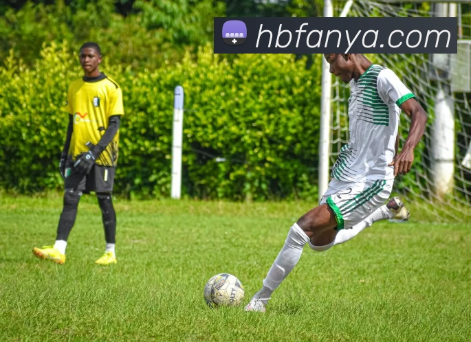 登录器 登录器
